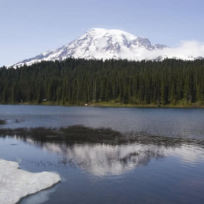Olympic & Mount Rainier National Parks