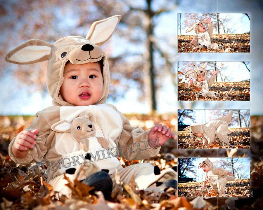Kangaroo Boy