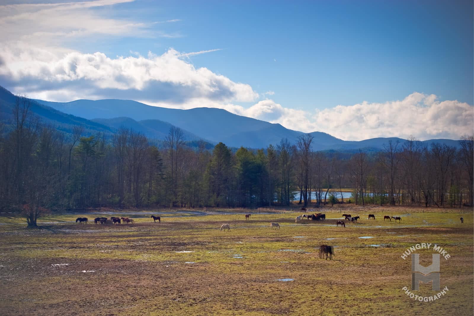 Great Smoky Mountains