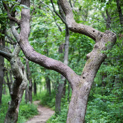 Great River Bluffs State Park