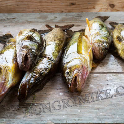 An Epic Fishing Trip in Canada