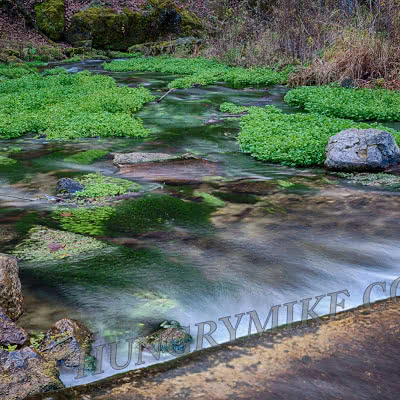 Beaver Valley Creek State Park