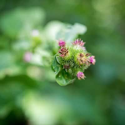 Whitewater State Park