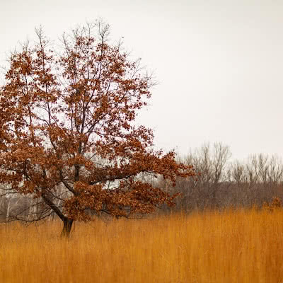 Frontenac State Park