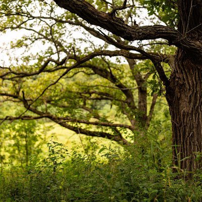 Myre-Big Island State Park