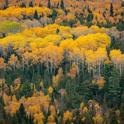 Fall Colors in Minnesota’s North Shore